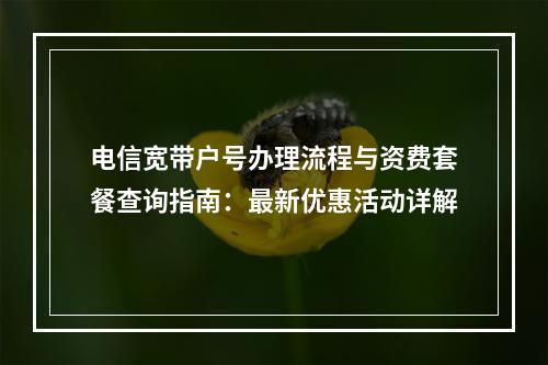 电信宽带户号办理流程与资费套餐查询指南：最新优惠活动详解