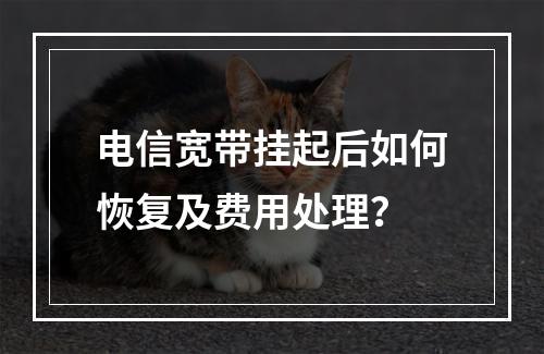 电信宽带挂起后如何恢复及费用处理？