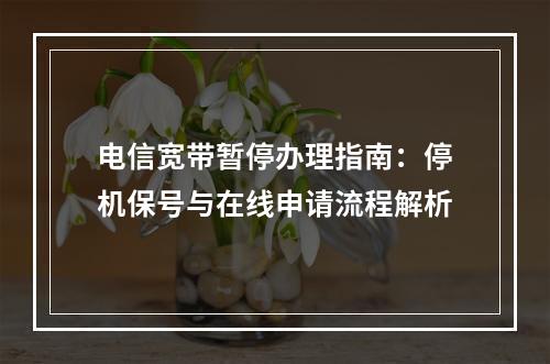 电信宽带暂停办理指南：停机保号与在线申请流程解析