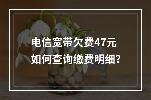 电信宽带欠费47元如何查询缴费明细？
