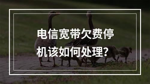 电信宽带欠费停机该如何处理？
