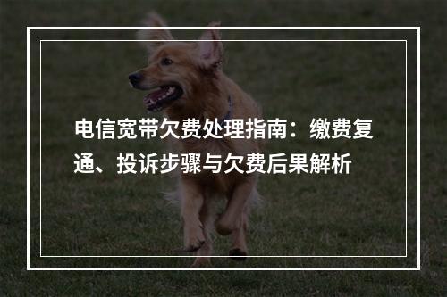电信宽带欠费处理指南：缴费复通、投诉步骤与欠费后果解析
