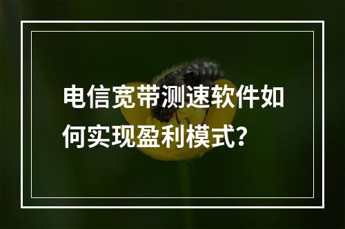 电信宽带测速软件如何实现盈利模式？