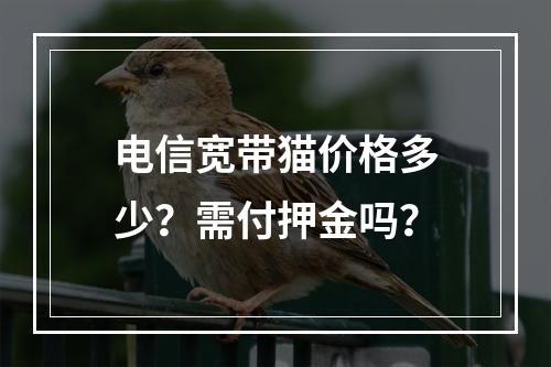 电信宽带猫价格多少？需付押金吗？