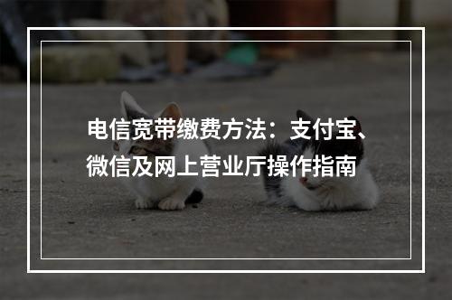 电信宽带缴费方法：支付宝、微信及网上营业厅操作指南