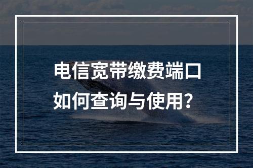 电信宽带缴费端口如何查询与使用？