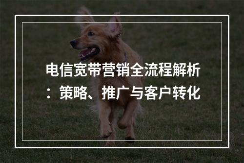 电信宽带营销全流程解析：策略、推广与客户转化