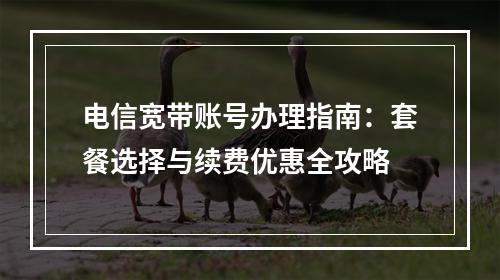电信宽带账号办理指南：套餐选择与续费优惠全攻略