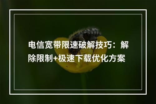 电信宽带限速破解技巧：解除限制+极速下载优化方案