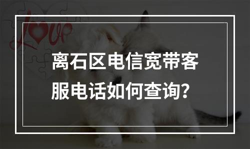 离石区电信宽带客服电话如何查询？