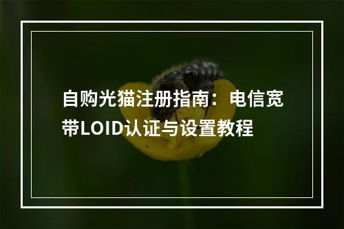 自购光猫注册指南：电信宽带LOID认证与设置教程