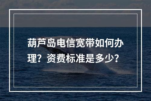 葫芦岛电信宽带如何办理？资费标准是多少？
