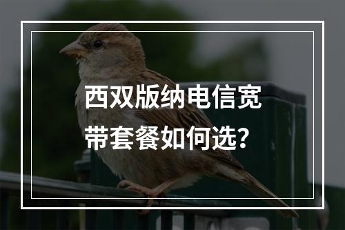 西双版纳电信宽带套餐如何选？