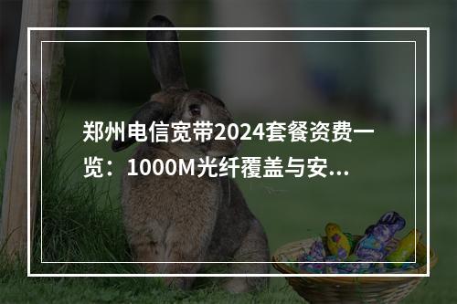 郑州电信宽带2024套餐资费一览：1000M光纤覆盖与安装指南