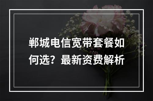 郸城电信宽带套餐如何选？最新资费解析