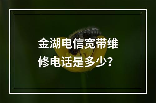 金湖电信宽带维修电话是多少？