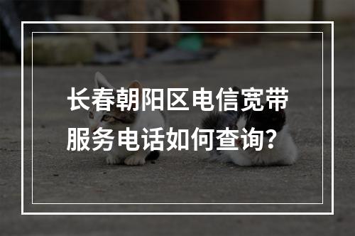 长春朝阳区电信宽带服务电话如何查询？
