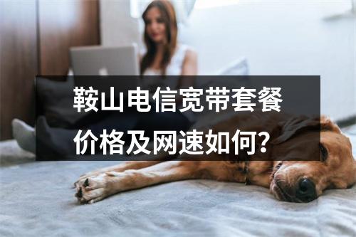鞍山电信宽带套餐价格及网速如何？