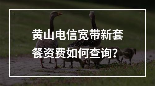 黄山电信宽带新套餐资费如何查询？