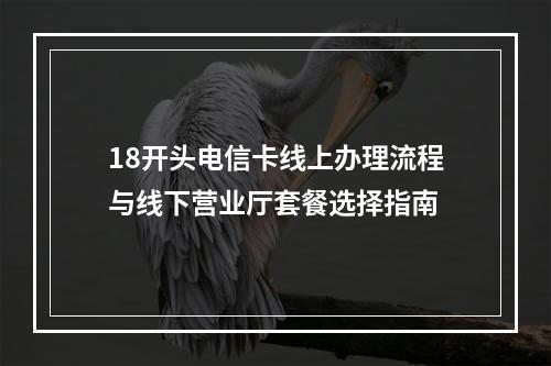 18开头电信卡线上办理流程与线下营业厅套餐选择指南