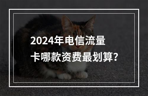 2024年电信流量卡哪款资费最划算？