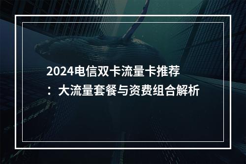 2024电信双卡流量卡推荐：大流量套餐与资费组合解析