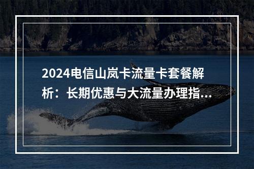 2024电信山岚卡流量卡套餐解析：长期优惠与大流量办理指南