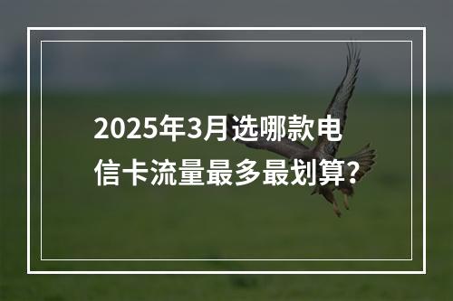 2025年3月选哪款电信卡流量最多最划算？