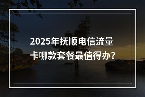 2025年抚顺电信流量卡哪款套餐最值得办？