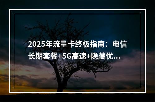 2025年流量卡终极指南：电信长期套餐+5G高速+隐藏优惠实测