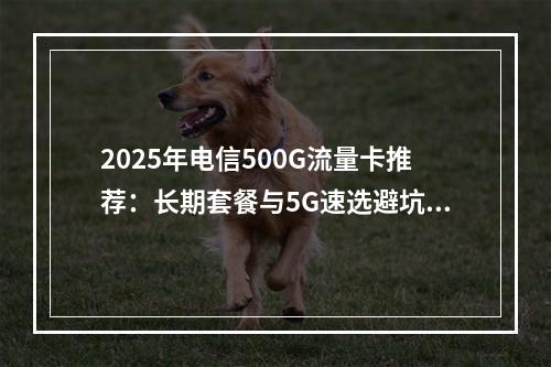 2025年电信500G流量卡推荐：长期套餐与5G速选避坑指南