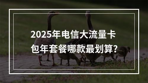 2025年电信大流量卡包年套餐哪款最划算？