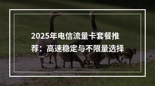 2025年电信流量卡套餐推荐：高速稳定与不限量选择