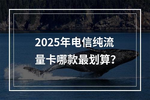 2025年电信纯流量卡哪款最划算？