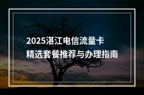 2025湛江电信流量卡精选套餐推荐与办理指南