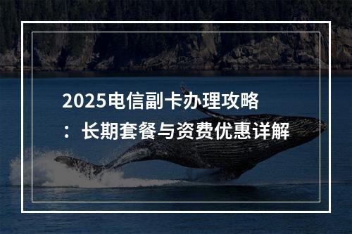 2025电信副卡办理攻略：长期套餐与资费优惠详解