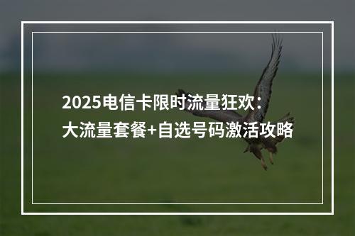 2025电信卡限时流量狂欢：大流量套餐+自选号码激活攻略