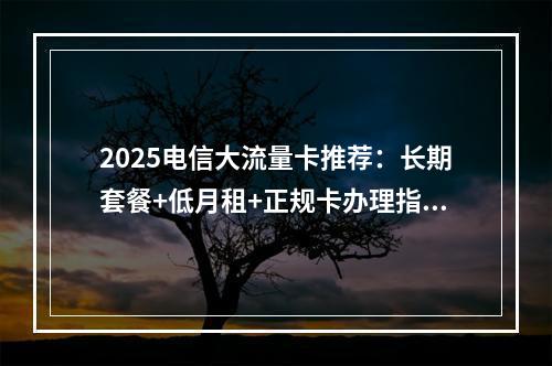 2025电信大流量卡推荐：长期套餐+低月租+正规卡办理指南