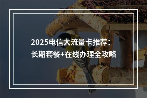 2025电信大流量卡推荐：长期套餐+在线办理全攻略