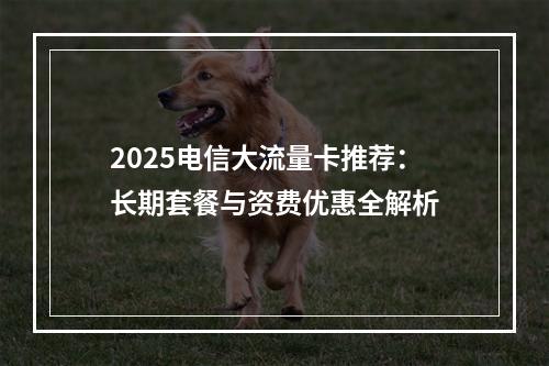 2025电信大流量卡推荐：长期套餐与资费优惠全解析