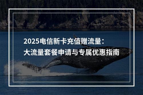 2025电信新卡充值赠流量：大流量套餐申请与专属优惠指南
