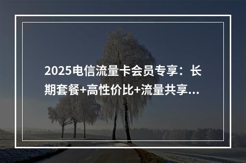 2025电信流量卡会员专享：长期套餐+高性价比+流量共享攻略