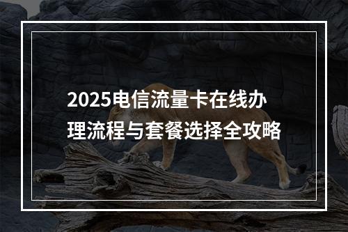 2025电信流量卡在线办理流程与套餐选择全攻略