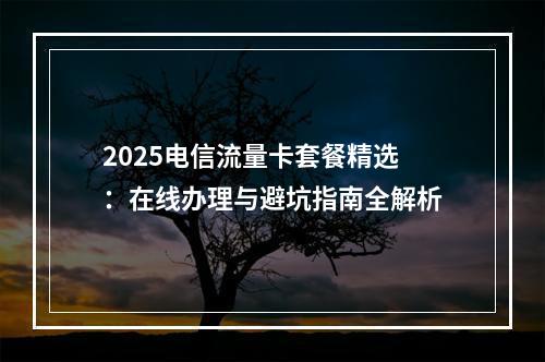 2025电信流量卡套餐精选：在线办理与避坑指南全解析