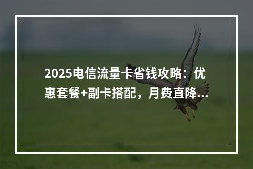 2025电信流量卡省钱攻略：优惠套餐+副卡搭配，月费直降50%
