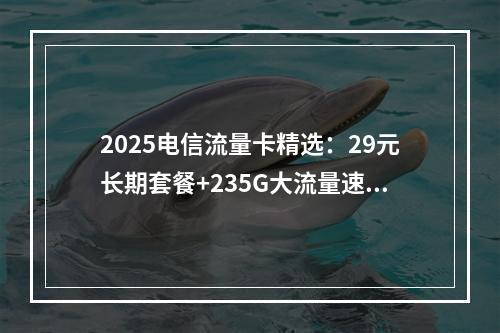 2025电信流量卡精选：29元长期套餐+235G大流量速购