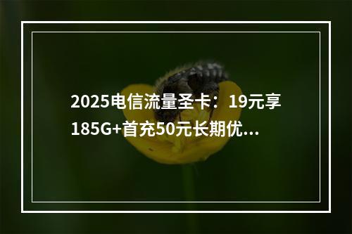 2025电信流量圣卡：19元享185G+首充50元长期优惠