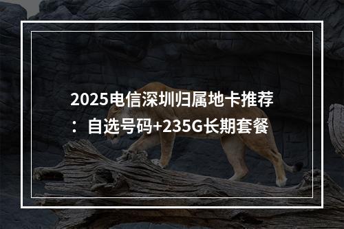 2025电信深圳归属地卡推荐：自选号码+235G长期套餐