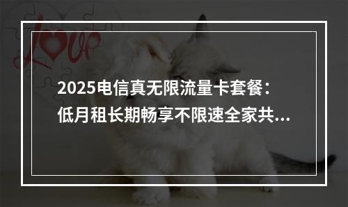 2025电信真无限流量卡套餐：低月租长期畅享不限速全家共享