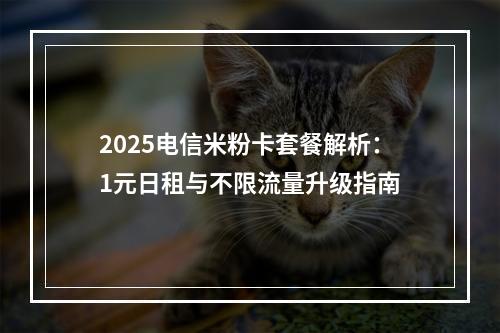 2025电信米粉卡套餐解析：1元日租与不限流量升级指南